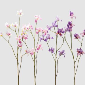 Rama de iris (blanco)