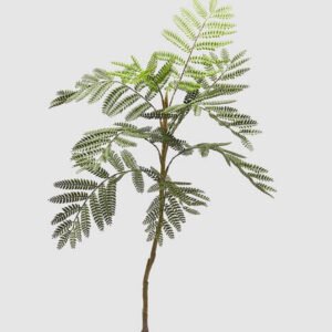 Maceta jacaranda (mediana)