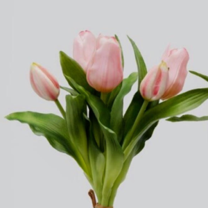 Ramo tulipán rosa claro (H28)