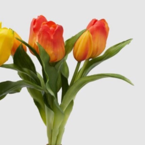 Ramo tulipán naranja (H28)