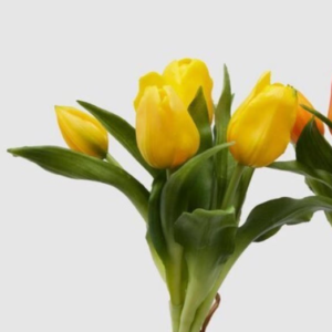 Ramo tulipán amarillo (H28)